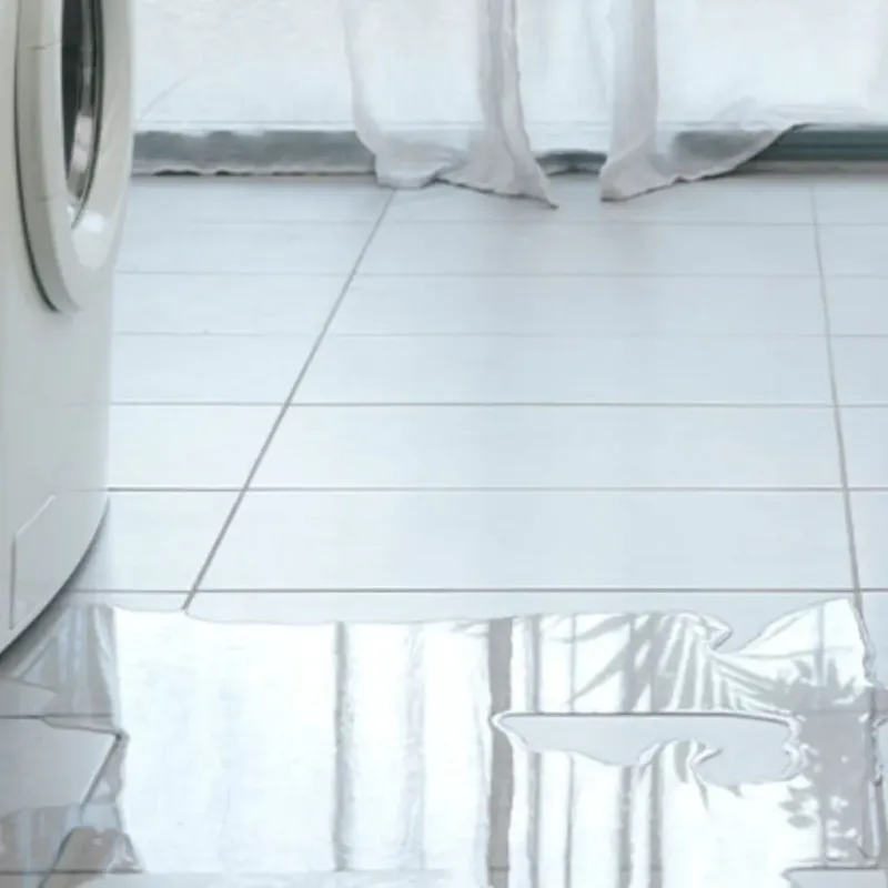 Appliance Leak Cleanup in Robinson, TX