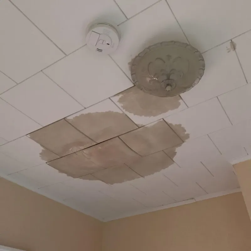 Ceiling Water Damage Repair in Robinson, TX