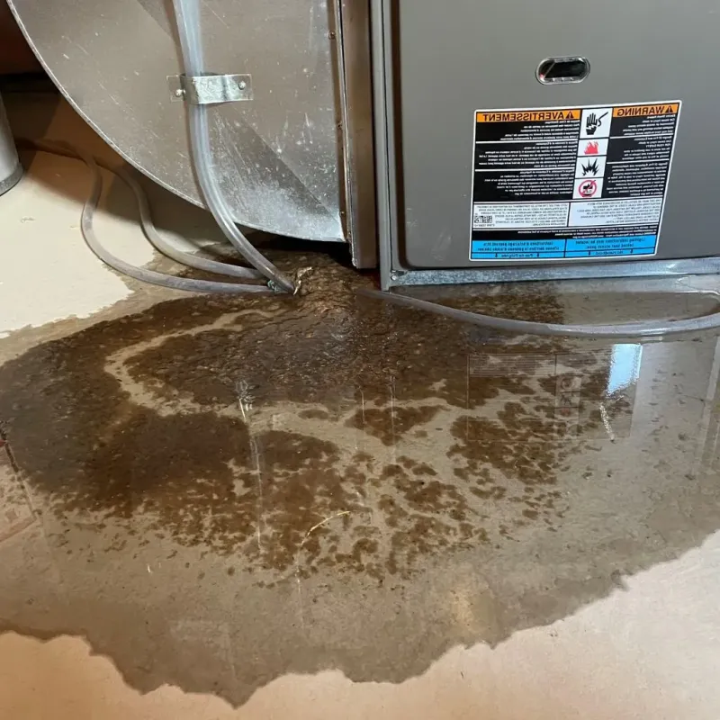 Pipe Burst and Leak Restoration in Robinson, TX